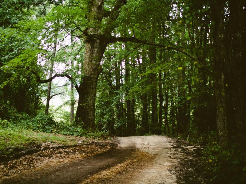 sudoku irregular boxes screenshot 1